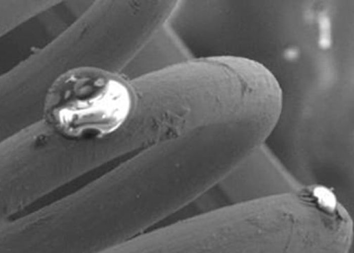 SEM-filament-coil-1000